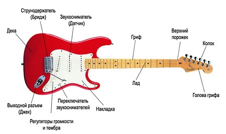 Составные части электро гитары
